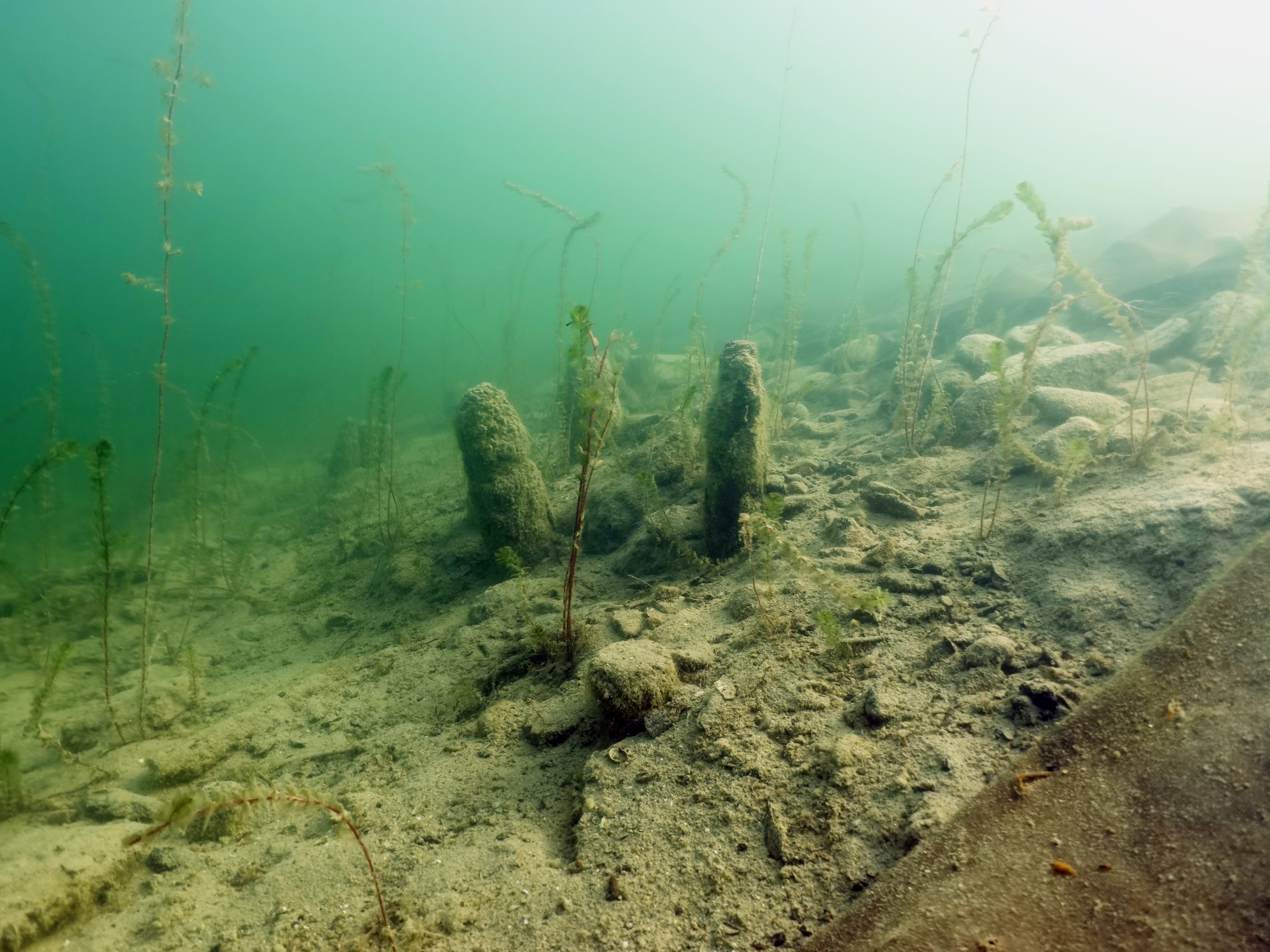 Pfähle unter Wasser