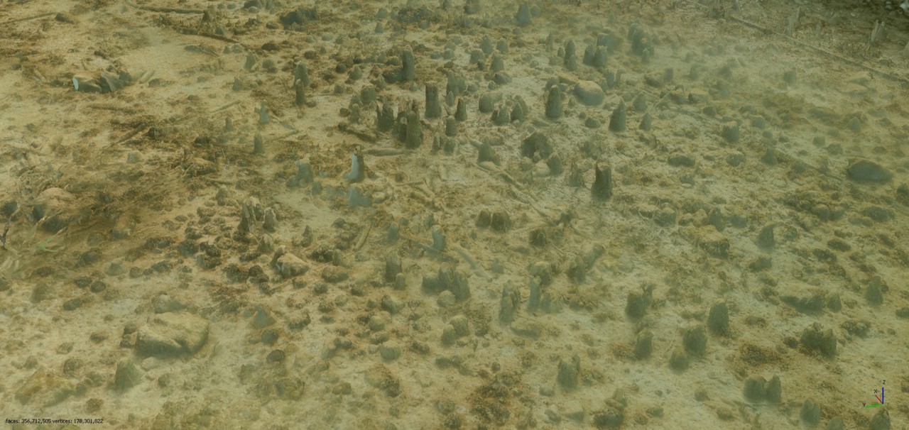 3D Model of the pile dwelling site "See am Mondsee"